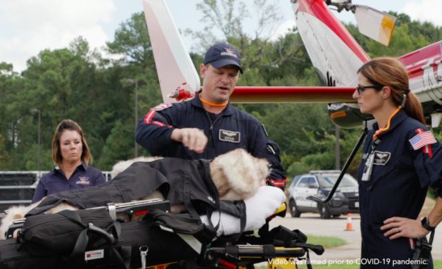 Air Ambulance Services For Veterinary Emergencies